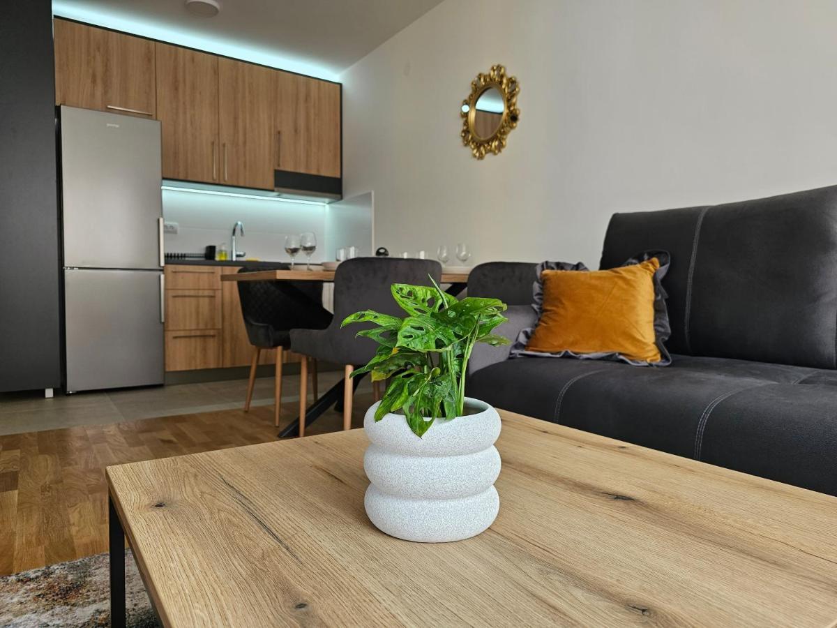 Sun&Moon Apartments 노비사드 외부 사진